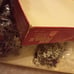 Bon Puzzle Catherine Deneuve Rare Item