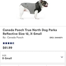 Dog clothes for winter