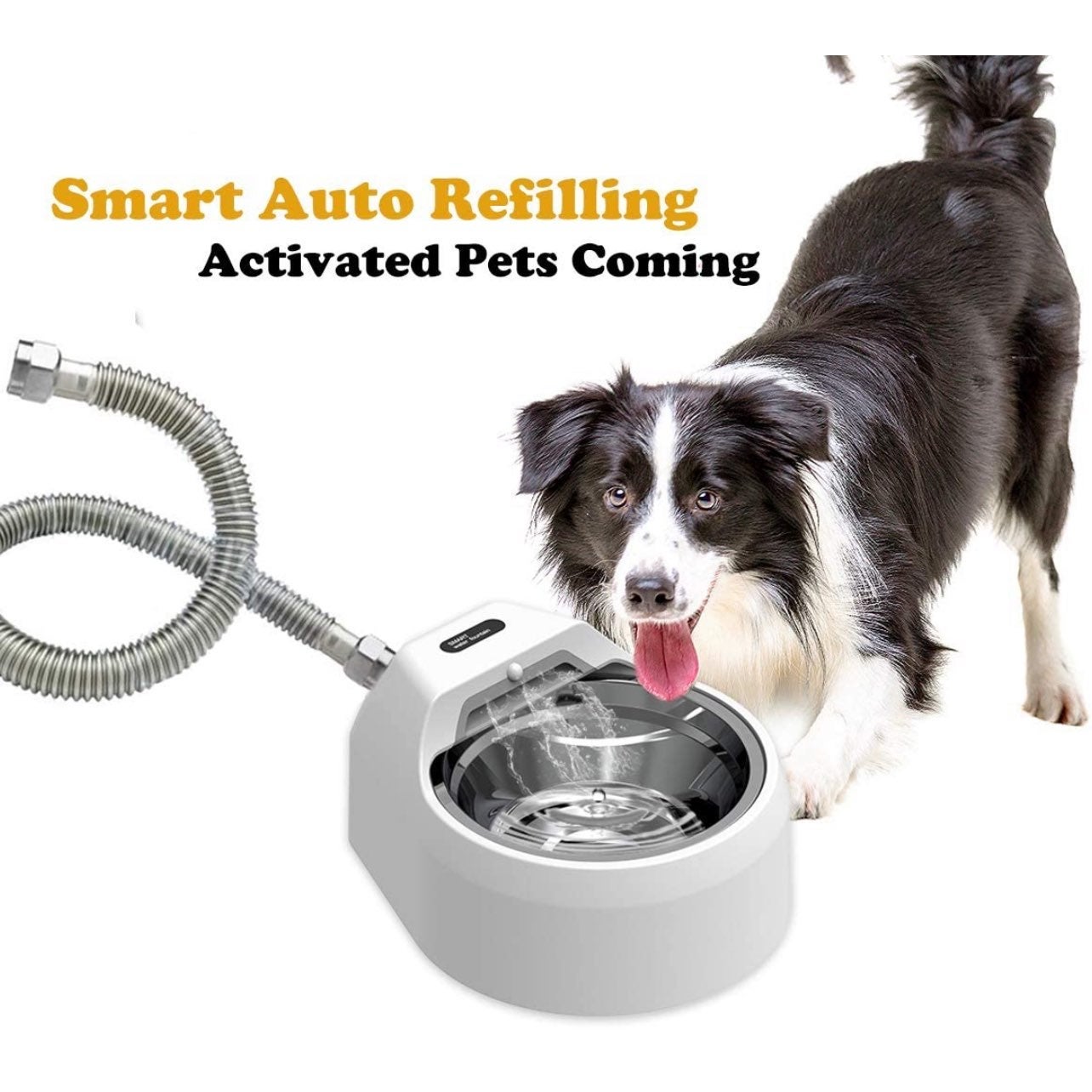 Auto-Refill Dog Cat Water Bowl Dispenser