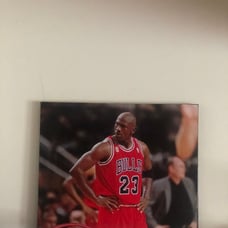 This Stunning Michael Jordan 16x20 Canva
