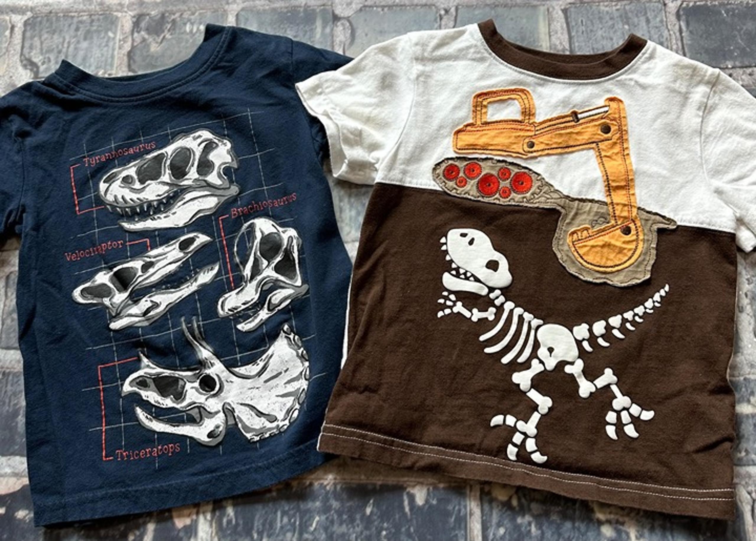 Two dinosaur toddler shirts, size 2T