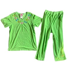 Quacker Factory Set Green Dragonfly French Terry Shirt & Pants Women size Small