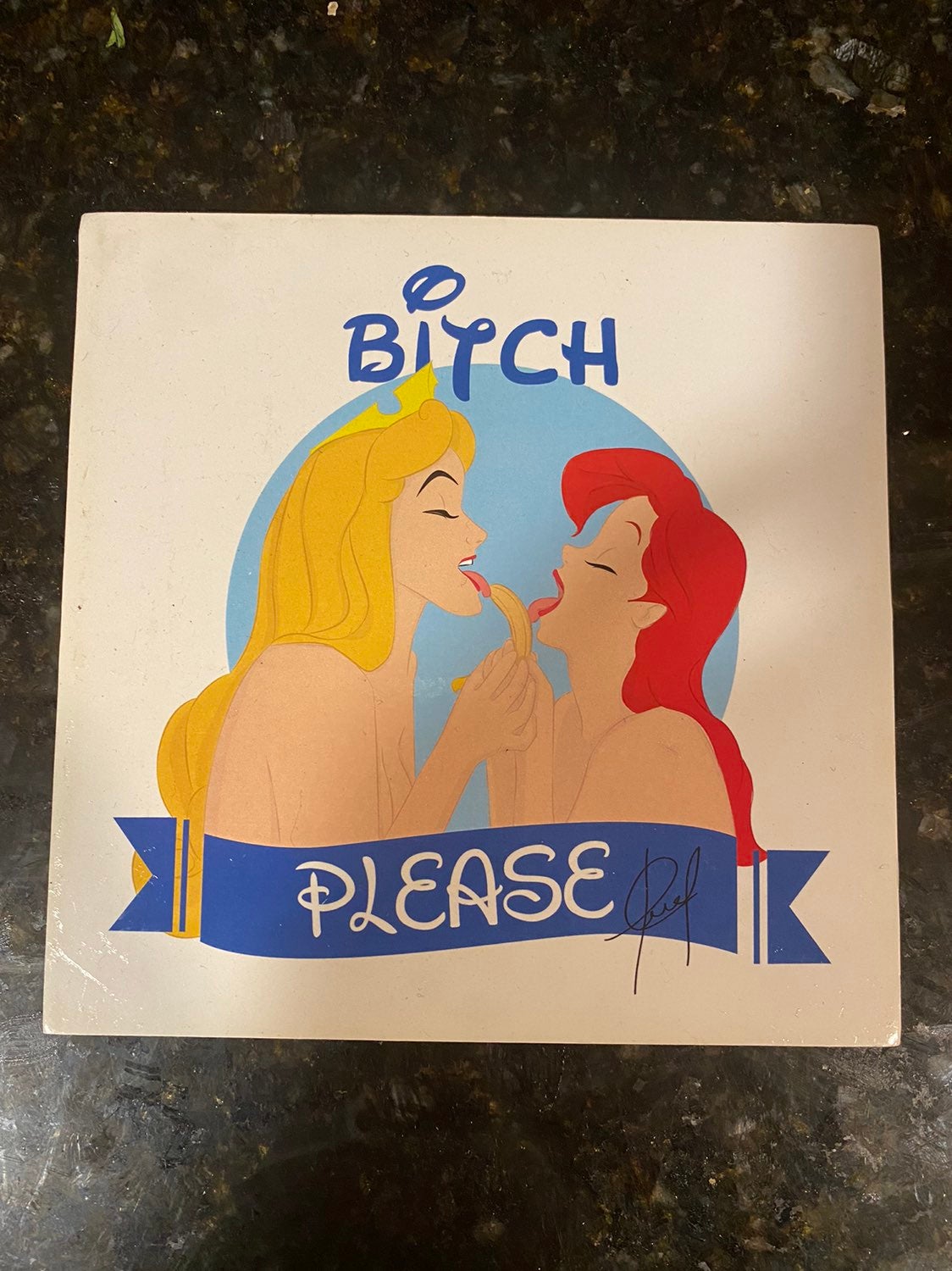Princess Aurora and Ariel Artwork