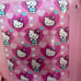Hello Kitty Valentine's Day Blanket New with tags