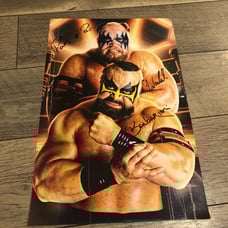 wwe wwf Warlord & Barbarian Power Of Pain signed poster 11x17