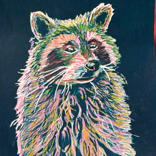 Original Multicolored Raccoon Drawing Painting Size 9”x12”