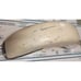 HARLEY DAVIDSON OEM TOURING 2014 FRONT FENDER