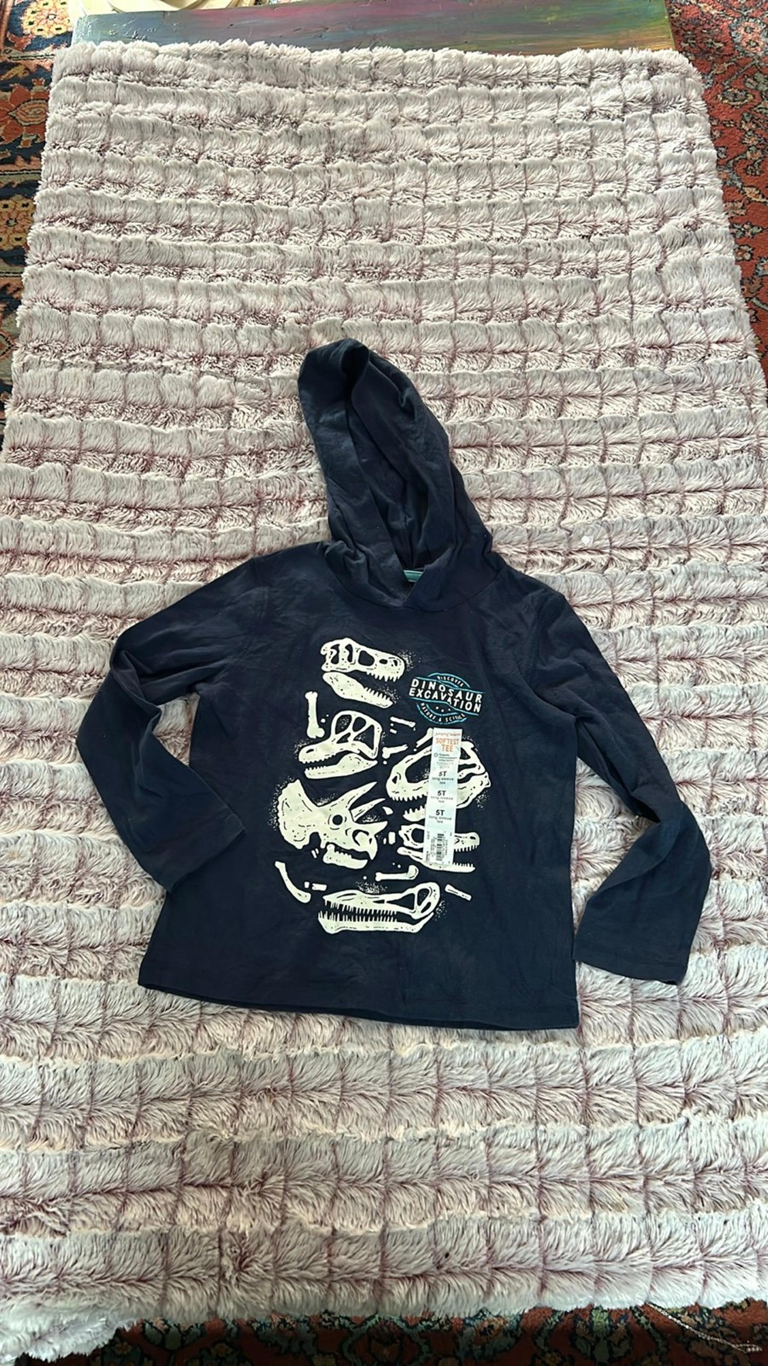 Jumping  Bean Dinosaur hoodie  top size 5T