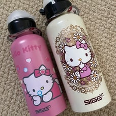 Sigg Sanrio flasks