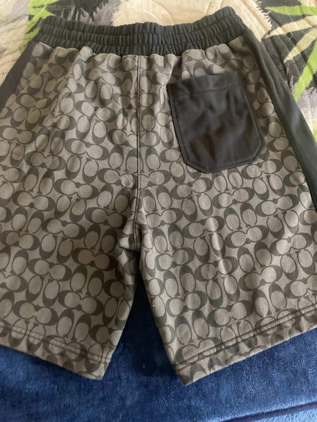 Coach Shorts