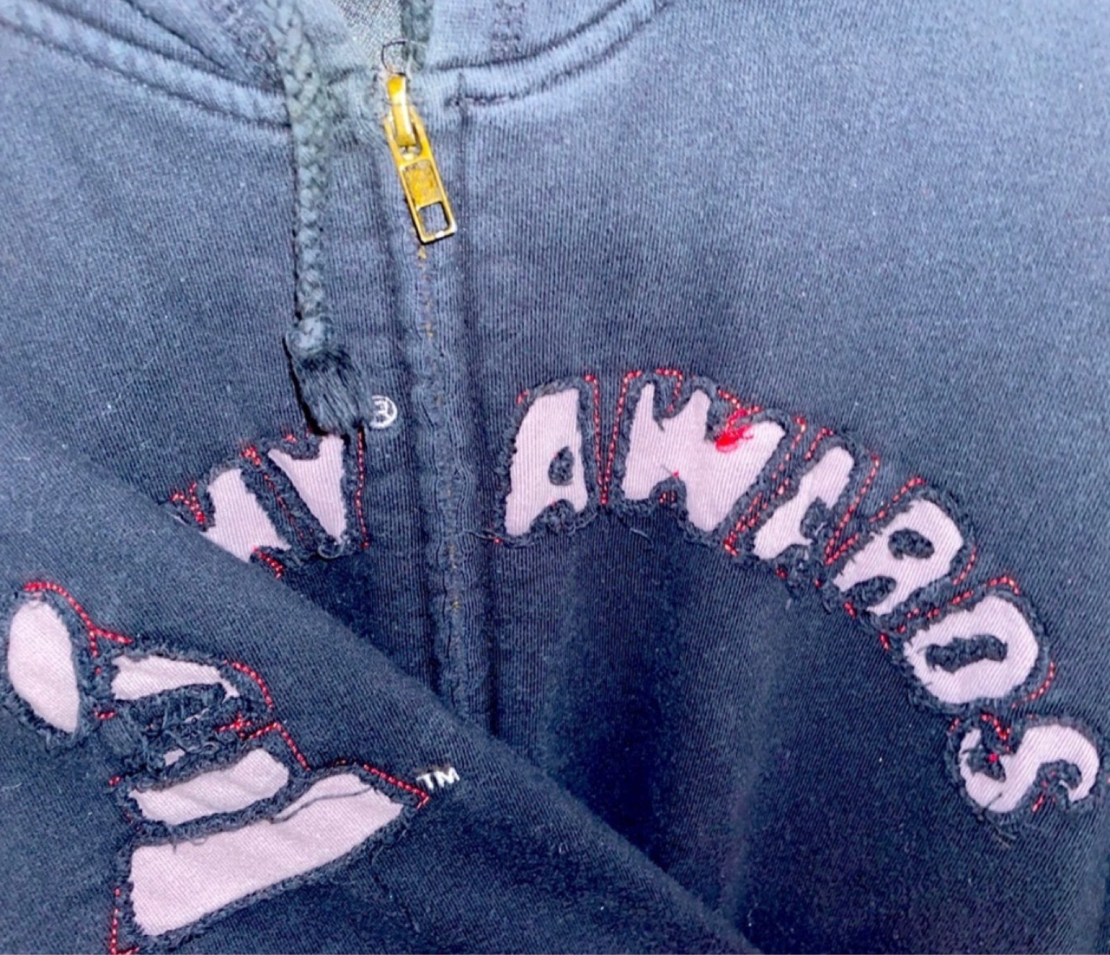 Official 50th Anniversary Grammy Awards Zip Up Jacket With Hood