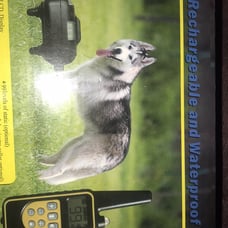 dog training collar