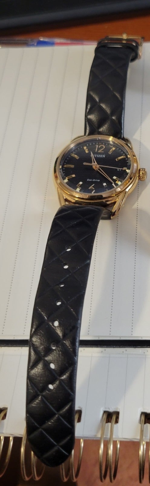 Citizen Watch
