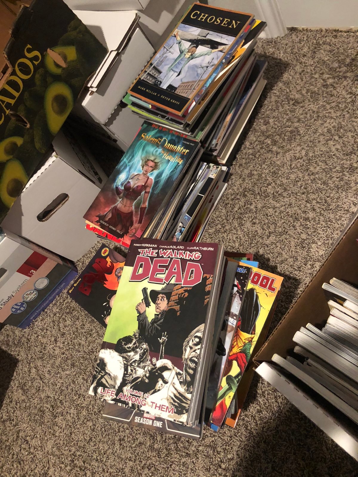 Huge graphic novel 100or more!!!!