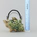 Vintage Small Green Figural Conch Shell Individual Teapot With Handle