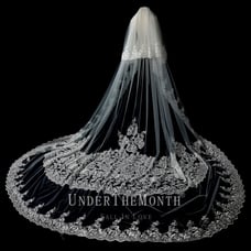 Gorgeous bridal veil