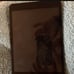 ipad mini