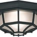 Flush Mount Ceiling Light, 10.5 in W, Black