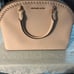 Michael Kors purse and mini bag