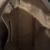 Michael Kors purse and mini bag