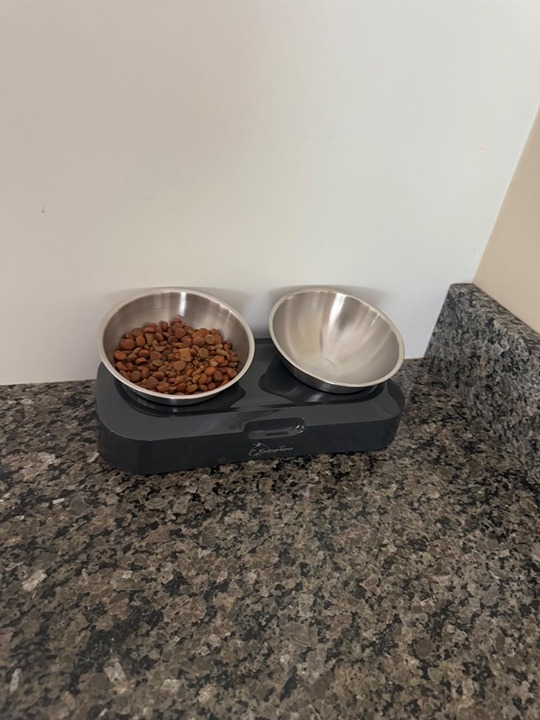 Cat Food Bowl for Indoor Cata