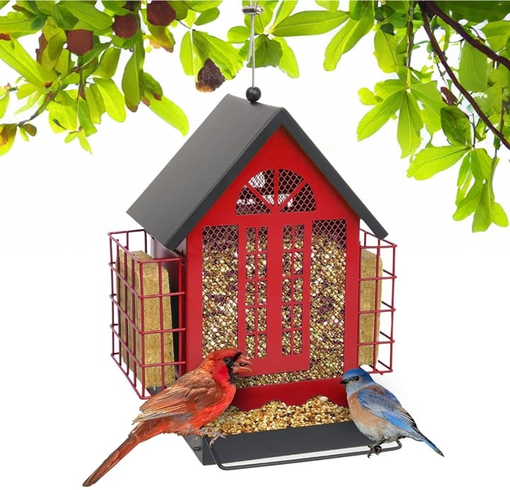 Large capacity metal birdfeeder house with double layer suet cage