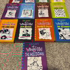 Diary of a Wimpy Kid Book Lot