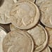 Roll of 40 buffalo nickels!