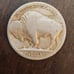 Roll of 40 buffalo nickels!
