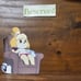 Animal Crossing Amiibo Card bundle lot RESERVED