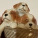 Royal Copenhagen Mini Puppy Collection Mongrels in Basket Dog Figurine 745