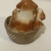 Royal Copenhagen Mini Puppy Collection Mongrels in Basket Dog Figurine 745