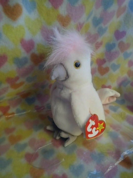 TY KuKu Beanie Baby | Rare | Excellent Condition | 1998/1997 Tag Error