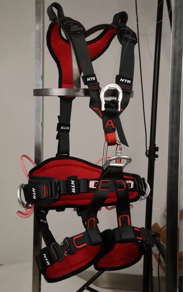 Full body harness