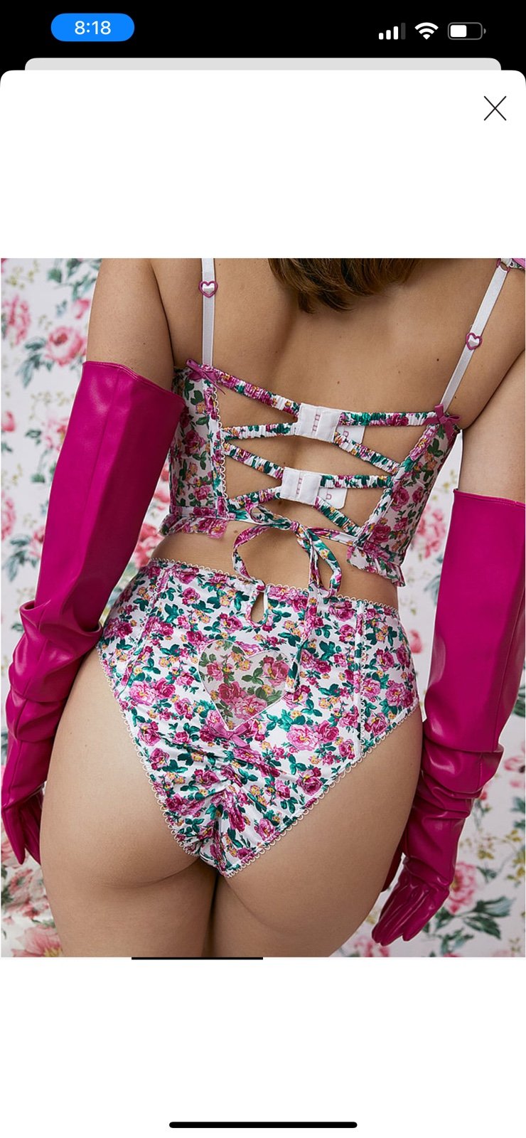 For love and lemons cheeky panty