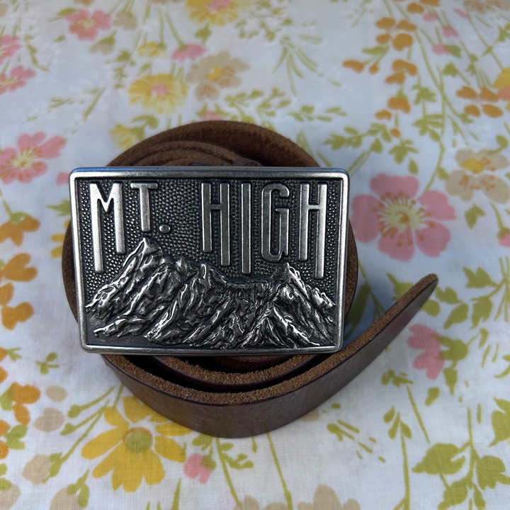 Vintage Y2K American Eagle Mt High Leather Belt