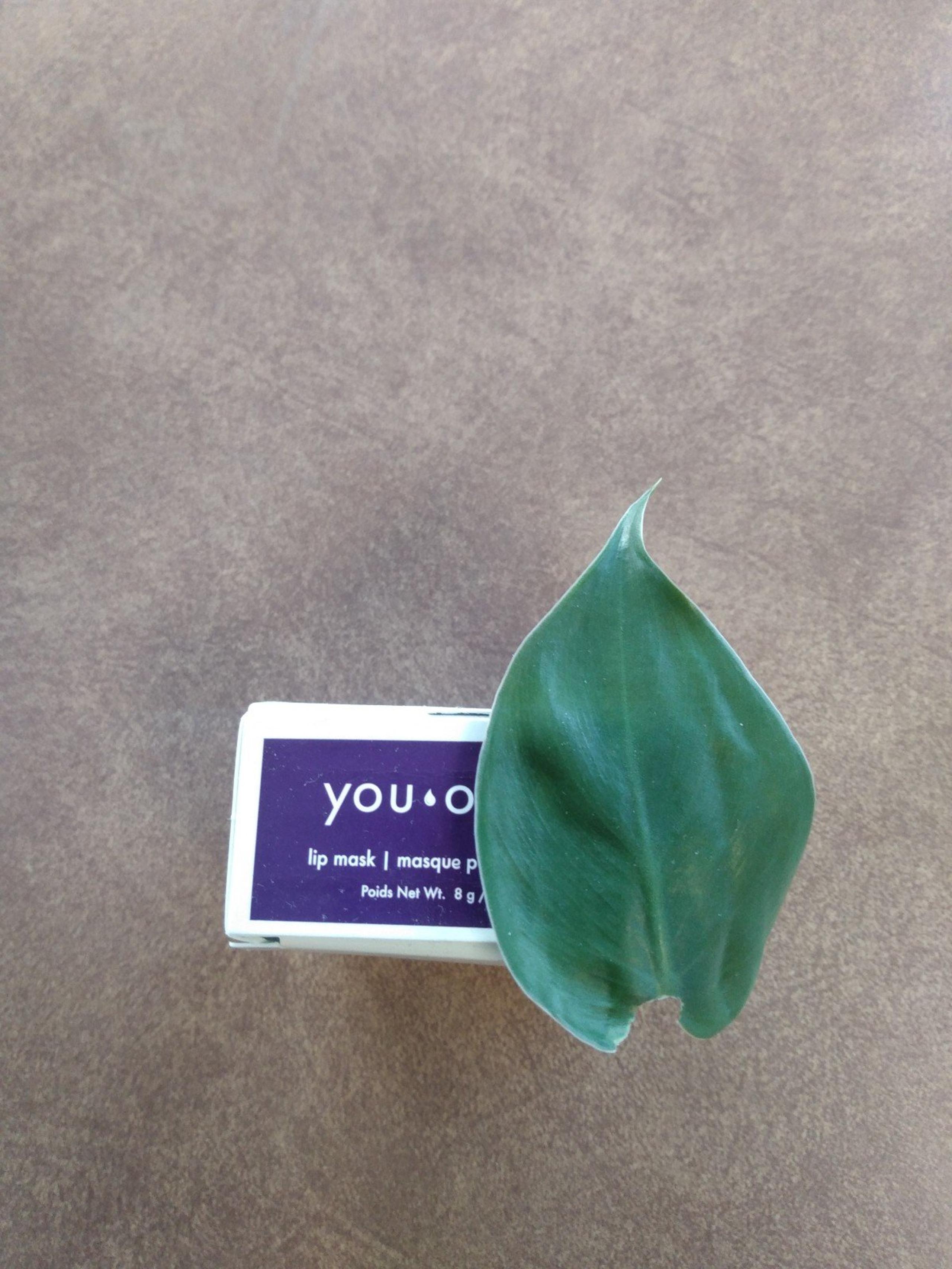 Younique youlogy lip mask