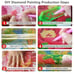 6pk Mystery DIY 5D Full Round Drill Diamond Painting