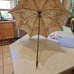 Antique Umbrella