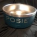 Yeti heavy duty food bowl personalized “posie” NWOT