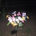 2pack solar butterfly garden lights