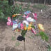 2pack solar butterfly garden lights