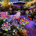 2pack solar butterfly garden lights