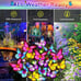 2pack solar butterfly garden lights
