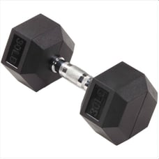2 x 30LB Dumbbells New Free Shipping
