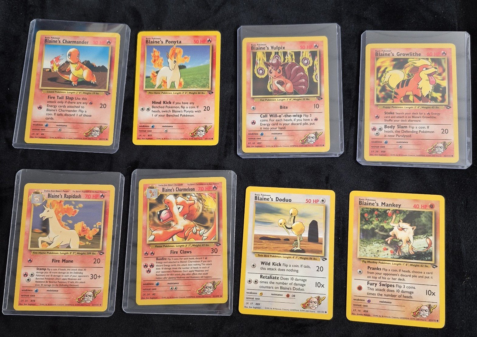 Pokemon lot