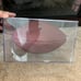 49er Super Bowl XVI commemorative football 25th anniversary edition