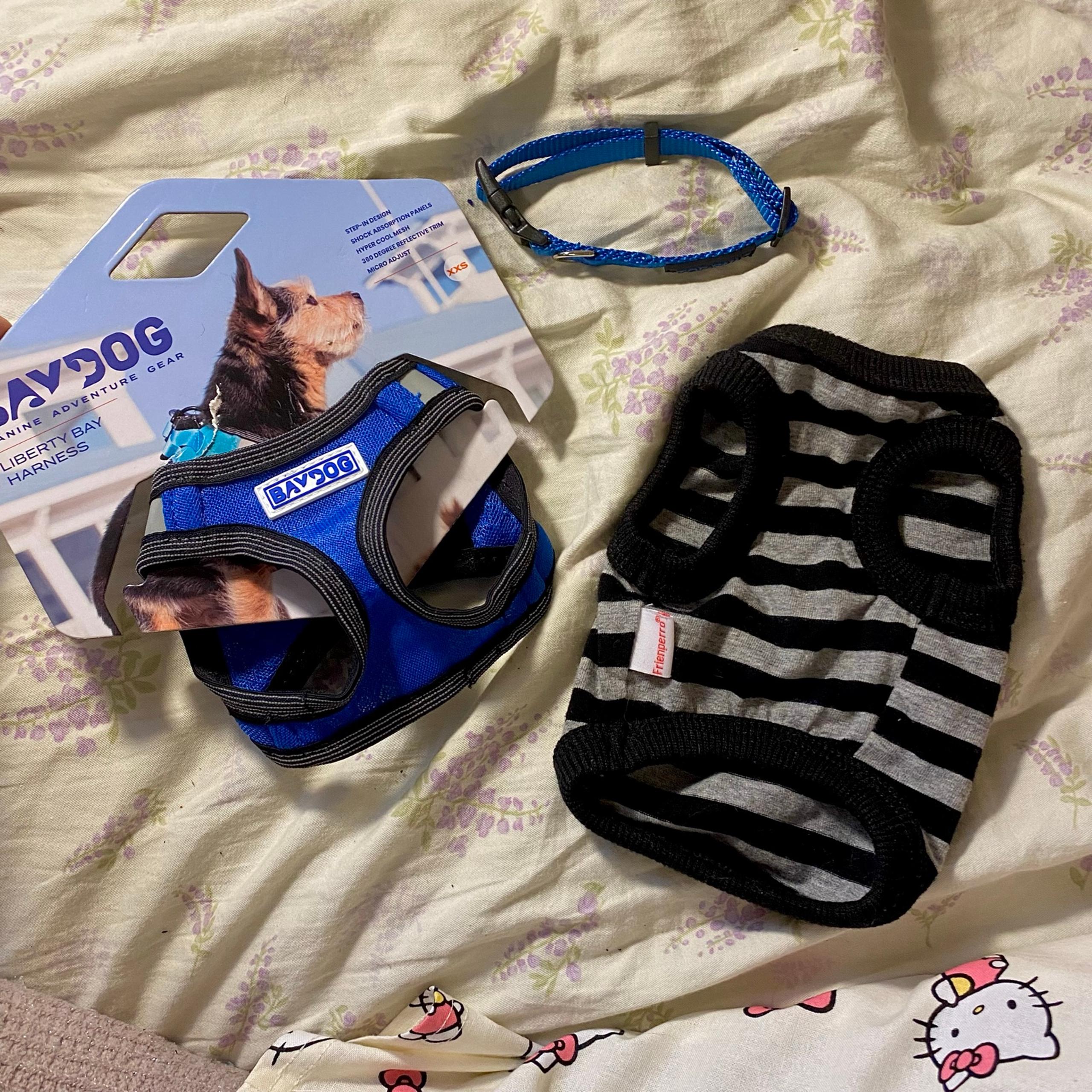 Boy Dog Bundle XXS