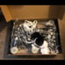 Skates buy now or will be gone. I’ve put them so low just to get rid of them