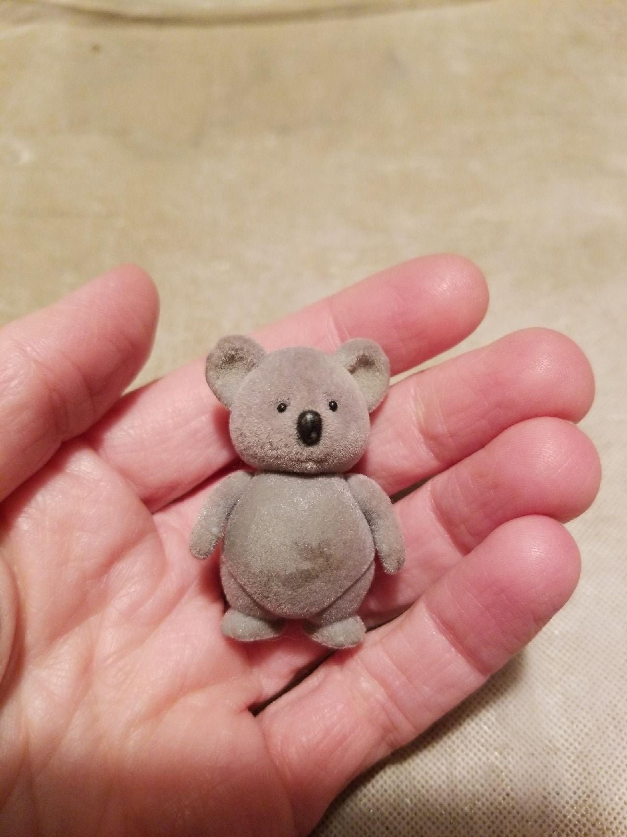 LIL WOODZEEZ CANBERRA  koala baby Replacement